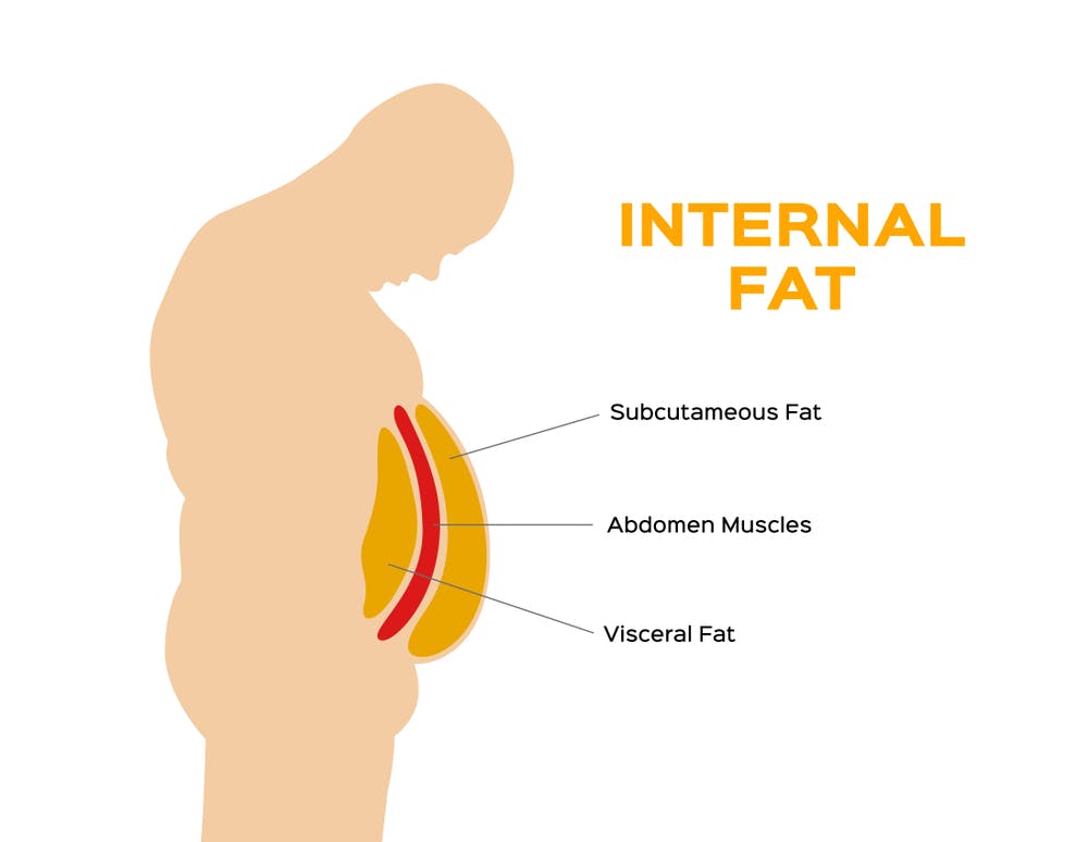 Internal fat diagram